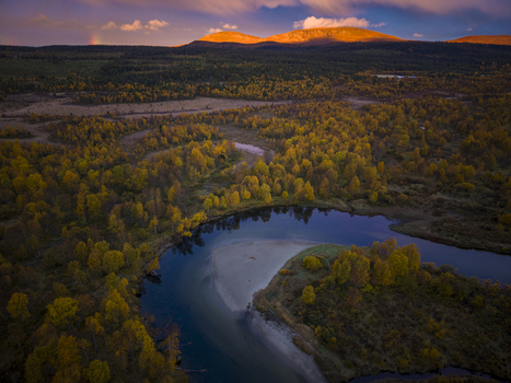 Aerial view of River Ljusnan at sunrise with golden light on the surrounding mountains and autumn foliage along the riverbanks in Bruksvallarna Jamtland County Sweden.