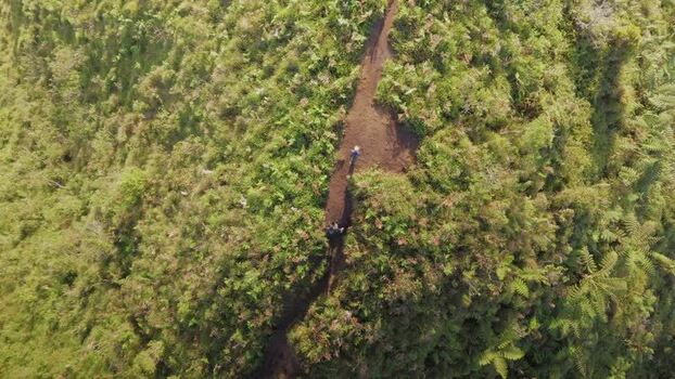 Aerial view of people hiking on a lush ridge in Dieng Indonesia.