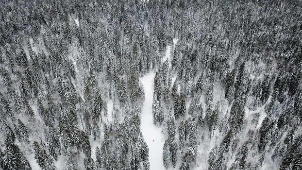 Aerial view of the snow covered forest and cross country ski track at La Vattay in Mijoux Auvergne Rhone Alpes France. Aerial view of the snow covered forest and cross country ski track at La Vattay in Mijoux Auvergne Rhone Alpes France.