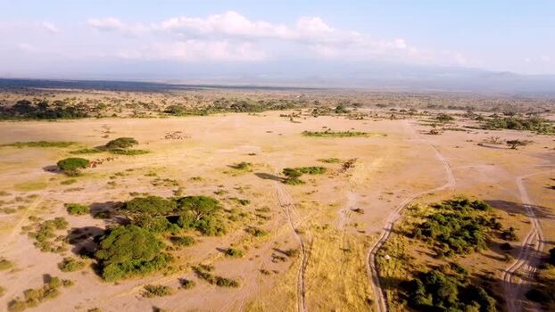 Aerial view of Amboseli National Park in Kajiado County Kenya.