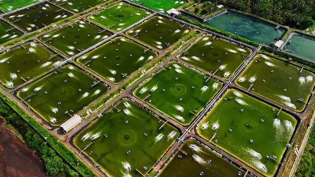 Aerial view of shrimp farming ponds in Bali Indonesia.