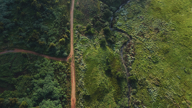 Aerial view of a winding dirt road and a small stream cutting through lush green vegetation and dense shrubland Garden Route District Municipality Western Cape South Africa.