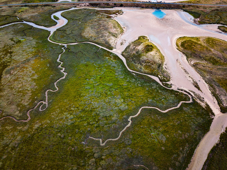 Aerial view of the Havre de Geffosses featuring winding tidal channels cutting through vibrant green salt marshes and sandy coastal flats in Geffosses Normandy France.