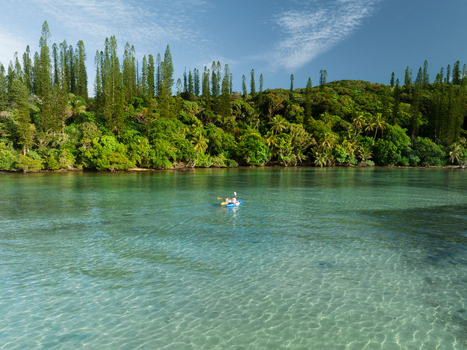 Aerial view of a two kayakers drifting on crystal clear waters embraced by the verdant coastline and towering pines Goro South Province New Caledonia. Aerial view of a two kayakers drifting on crystal clear waters embraced by the verdant coastline and towering pines Goro South Province New Caledonia.