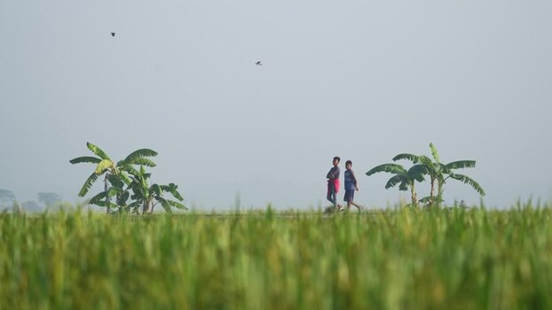 View of two boys walking through rural fields in Bogura Bangladesh.