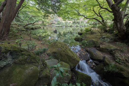 View of a serene pond reflecting the lush green canopy above with moss covered rocks and a gentle stream cascading down Narita Chiba Japan. View of a serene pond reflecting the lush green canopy above with moss covered rocks and a gentle stream cascading down Narita Chiba Japan.