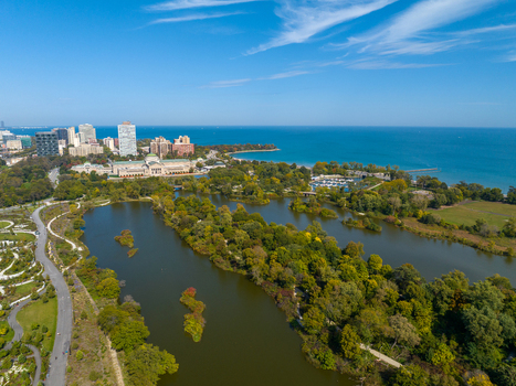 Aerial view of Wooded Island in Jackson Park with lush trees water the Museum of Science and Industry and the Chicago skyline Chicago Illinois United States.