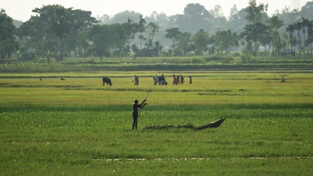 View of a man in a boat in a flooded field Bangladesh.