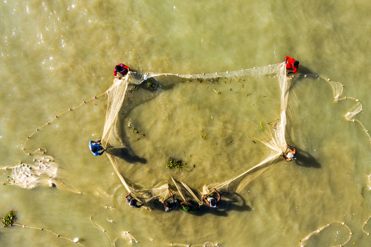 Aerial view of fishermen working together to pull a large fishing net through the shallow waters of the Bay of Bengal in Kuakata Barisal Division Bangladesh. Aerial view of fishermen working together to pull a large fishing net through the shallow waters of the Bay of Bengal in Kuakata Barisal Division Bangladesh.