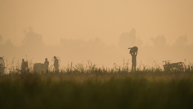 View of farmers working in a misty field at dawn in Bangladesh. View of farmers working in a misty field at dawn in Bangladesh.