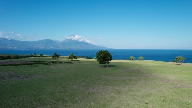 Aerial view of Mausui Savanna and the coast Indonesia.