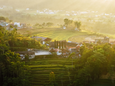 Aerial view of Dieng Plateau featuring terraced rice fields and village houses bathed in golden hour sunlight in Indonesia.