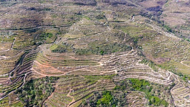 Aerial view of terraces carved into the verdant hillside a testament to human cultivation against the backdrop of rugged terrain Cabezuela del Valle Extremadura Spain.
