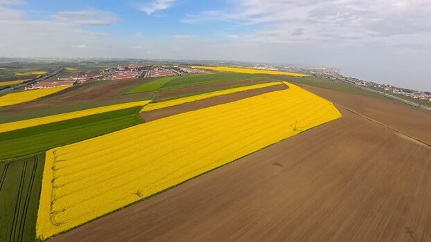 Aerial view of yellow canola fields and rural landscape Turkey.