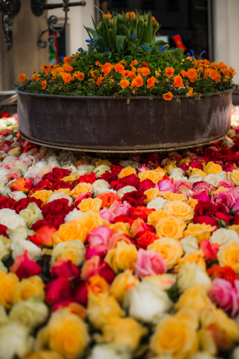 Zurich Switzerland 02 April 2023 View of a vibrant floral display where a bed of colorful roses contrasts with a rustic metal planter brimming with orange and green blooms. Zurich Switzerland 02 April 2023 View of a vibrant floral display where a bed of colorful roses contrasts with a rustic metal planter brimming with orange and green blooms.