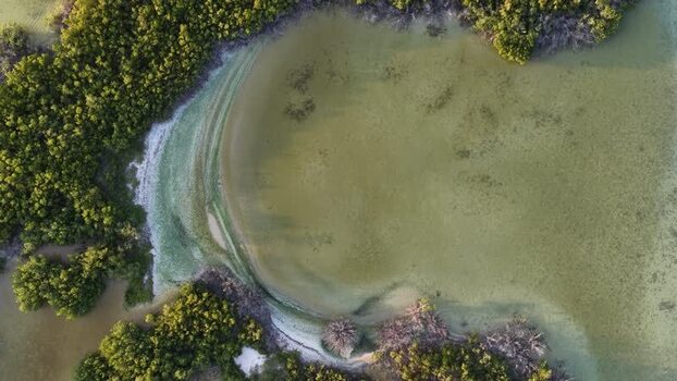 Aerial view of the Yucalpeten mangroves and lagoon Mexico. Aerial view of the Yucalpeten mangroves and lagoon Mexico.