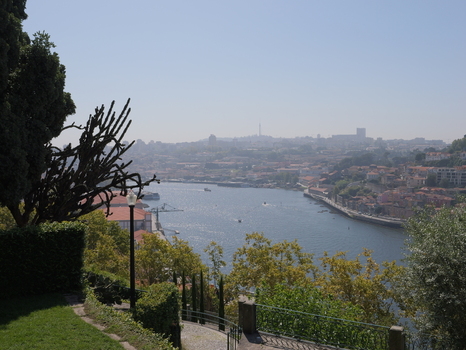 View of the Douro River flowing through the city of Porto with historic buildings terracotta rooftops and lush greenery along the banks in Porto Porto District Portugal. View of the Douro River flowing through the city of Porto with historic buildings terracotta rooftops and lush greenery along the banks in Porto Porto District Portugal.