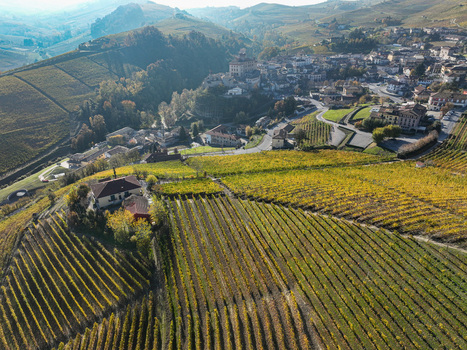 Aerial view of Barolo Cannubi Hill vineyards with the historic village and rolling hills under soft autumn light Barolo Piedmont Italy. Aerial view of Barolo Cannubi Hill vineyards with the historic village and rolling hills under soft autumn light Barolo Piedmont Italy.