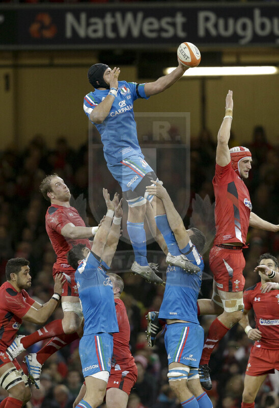 RBS 6 Nazioni 2014, Cardiff, Millennium Stadium, 1/02/2014, Galles v Italia. Marco Bortolami in touche Foto Roberto Bregani/Fotosportit