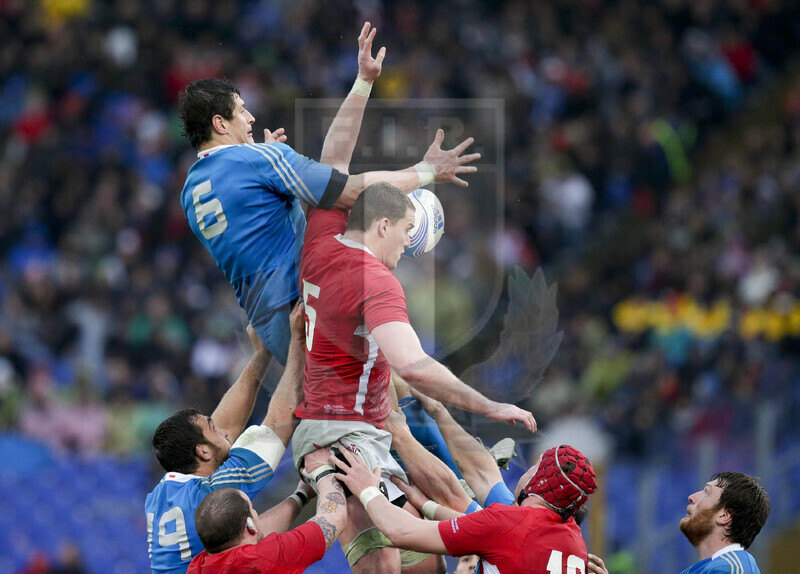 RBS 6 Nazioni 2013, Roma, Stadio Olimpico, 23-02-2013, Italia v Galles. Alessandro Zanni in touche