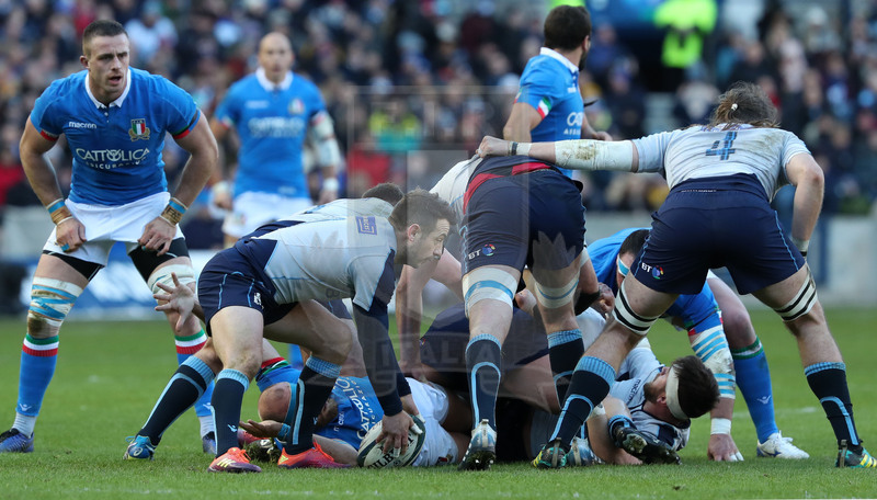 Guinness Sei Nazioni 2019, Round 1, Edimburgo, Murrayfield 02/02/2019, Scozia v Italia, Greig Laidlaw raccoglie palla. Foto Daniele Resini/Fotosportit