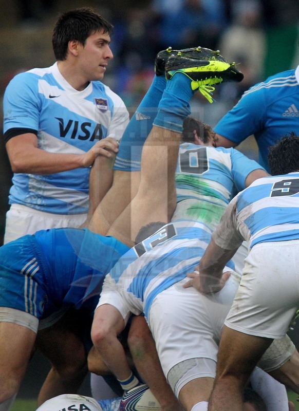 Cariparma test match 2013, Roma 23/11/2013, Italia v Argentina, un azurro a gambe all\