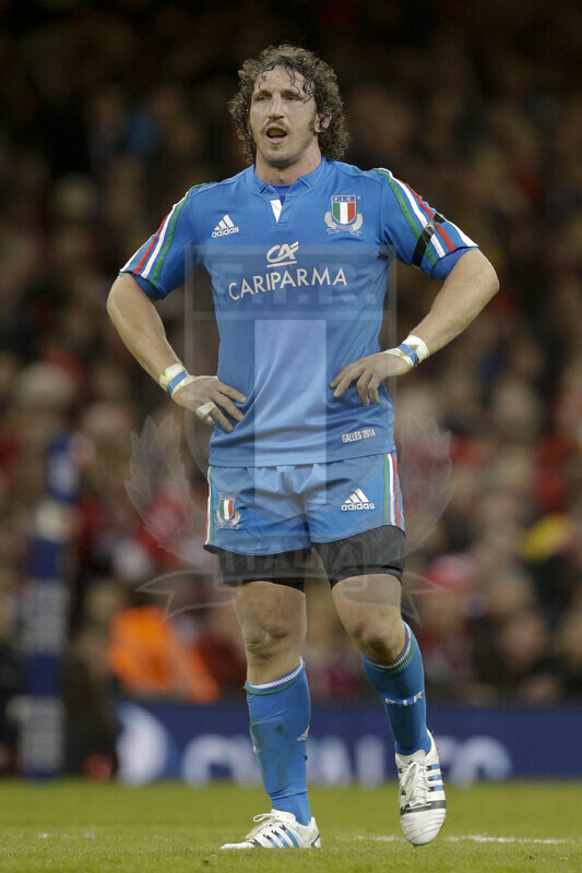 RBS 6 Nazioni 2014, Cardiff, Millennium Stadium, 1/02/2014, Galles v Italia. Mauro Bergamasco Foto Roberto Bregani/Fotosportit