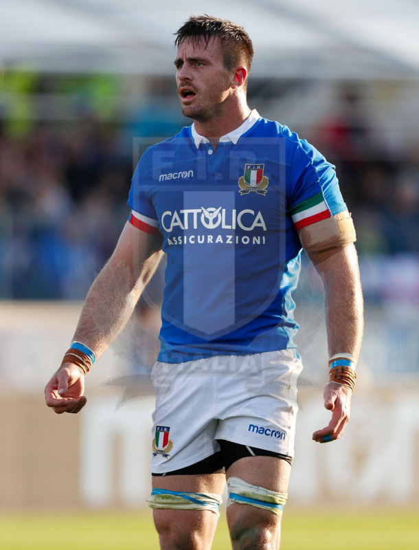 Cattolica Test Match 2018, Firenze, stadio Artemio Franchi 10/11/2018, Italia v Gorgia, Bram Steyn. Foto Daniele Resini/Fotosportit