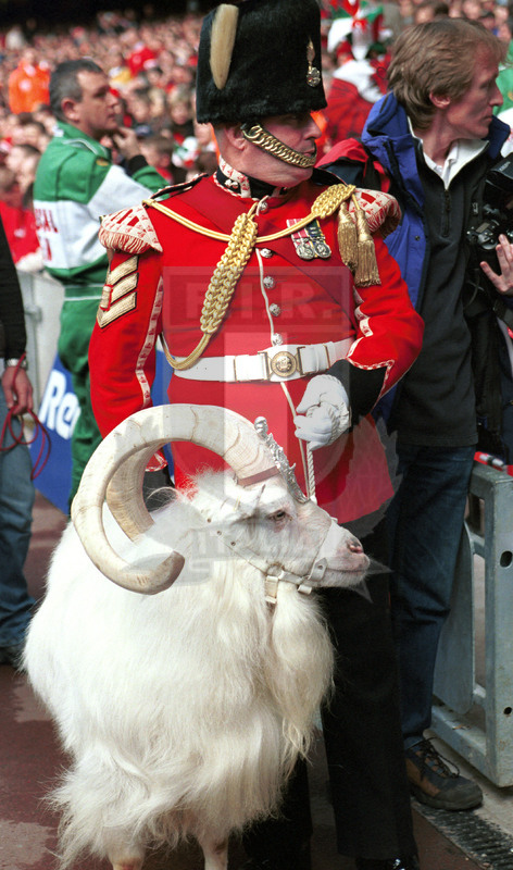 Lloyds TSB Sei Nazioni 2000, Round 2, Cardiff, Millennium Stadium 19/02/2000, Galles v Italia, Foto Daniele Resini/Fotosportit