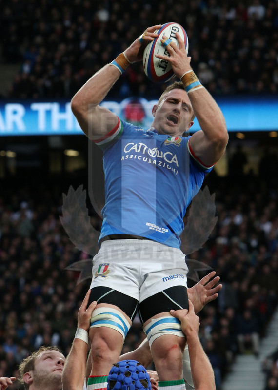 Guinness Sei Nazioni 2019, Round 4, Londra, Twickenham 09/03/2019, Inghilterra v Italia, Braam Steyn conquista touche a due mani. Foto Daniele Resini/Fotosportit