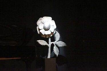 2014.12.06 Premio Rosa dell Umbria