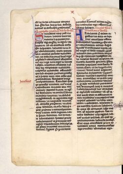 Ms. 347 Bonaventura da Bagnoregio Legenda minor sec. XIII Ms. 347 Bonaventura da Bagnoregio Legenda minor sec. XIII