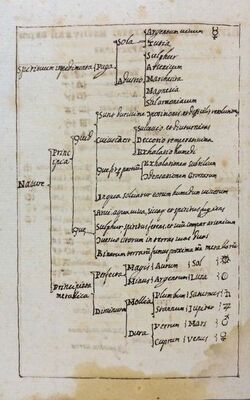 Ms. 78 Compendio di alchimia