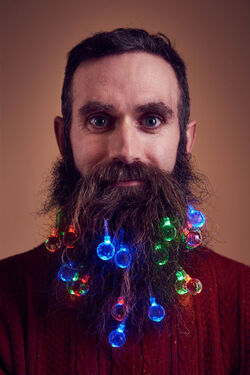 Christmas Time Beard Lights and Wine