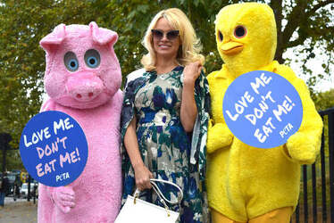 Pamela Anderson Joins Giant Animal Mascots as she Pitches her Loving Vegan Diet Pamela Anderson Joins Giant Animal Mascots as she Pitches her Loving Vegan Diet
