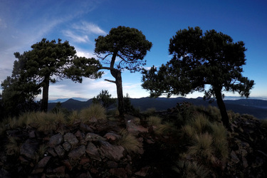 Cumbres del Ajusco National Park
