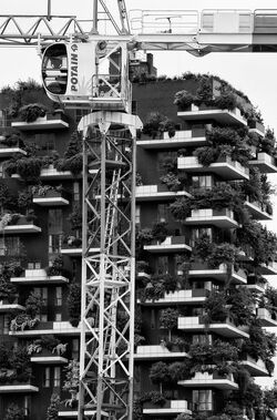 Architecture Porta Nuova gate Milan Italy