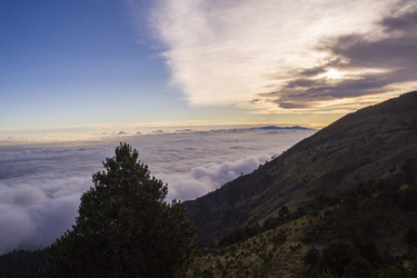 Cumbres del Ajusco National Park