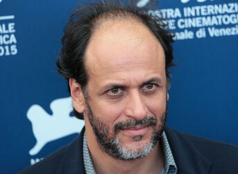 Register Luca Guadagnino at the 72nd Venice Film Festival