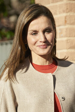 Queen Letizia attends a Meeting with the Board of FEDER