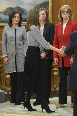 Queen Letizia attends audiences at Zarzuela Palace