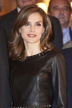 Spanish Royals attended the Francisco Cerecedo journalism awards Spanish Royals attended the Francisco Cerecedo journalism awards