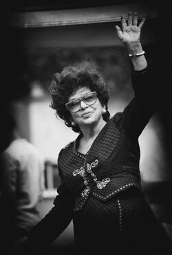 Portrait s of the 69nd Venice Film Festival