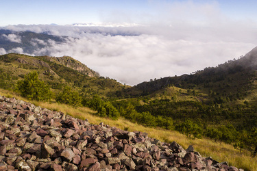 Cumbres del Ajusco National Park