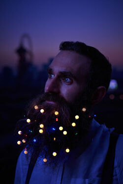 Christmas Time Beard Lights and Wine