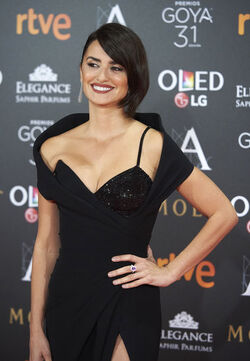 2017 Goya Cinema Awards Madrid