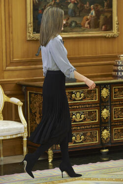 Queen Letizia attends audiences at Zarzuela Palace