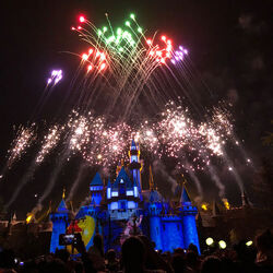 The Beckham s enjoy a family day at Disneyland.