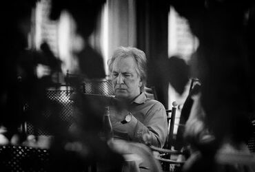 Portrait s from the 70nd Venice Film Festival