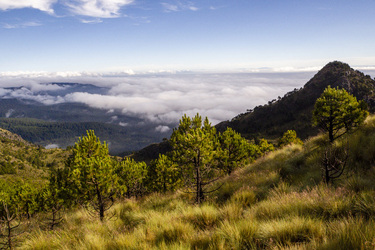 Cumbres del Ajusco National Park